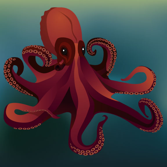 final vector image of octopus