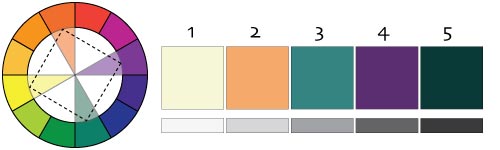 square color scheme
