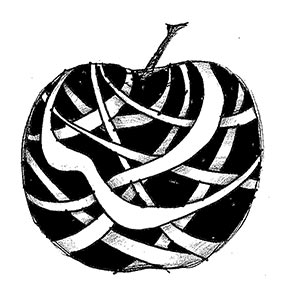 wrapped apple
