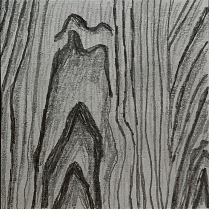 Hummingbird on Wood - Pencil Sketch - Sarah Siskind