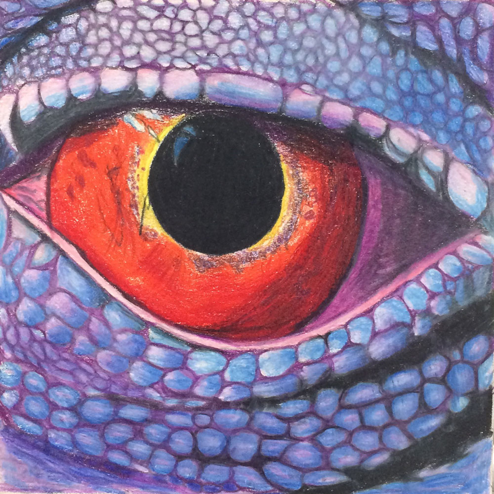 Eye drawing. Colored pencils. Art lesson.