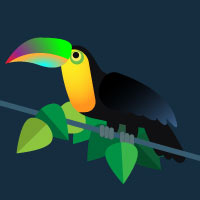 toucan in illustrator