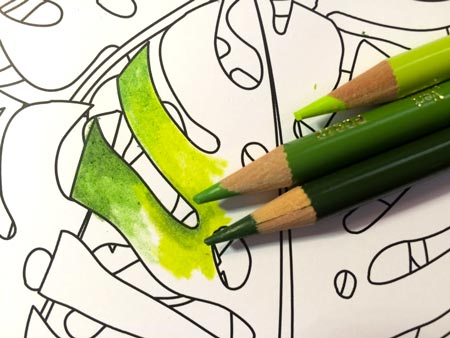 How to Use Colored Pencils in Adult Coloring Pages - 10 Tips for Beginners  