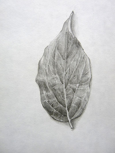 Downloadable PDF Watercolor Tutorial on Painting a Leaf Art - Etsy Australia