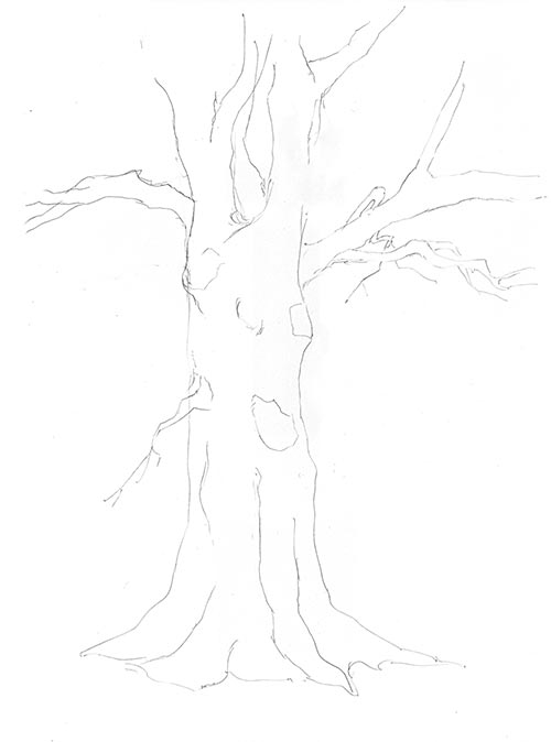 Winter Tree Pencil Sketch - Etsy