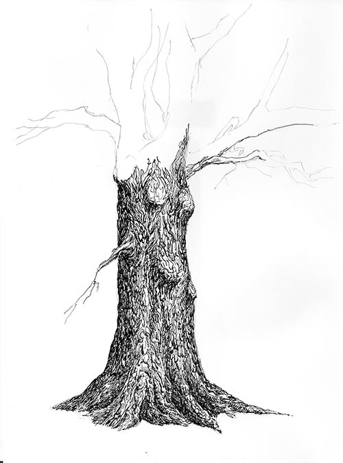 tree drawing