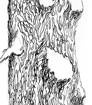 tree pen drawing