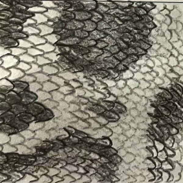 texture-snake