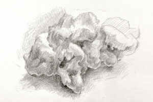 popcorn drawing