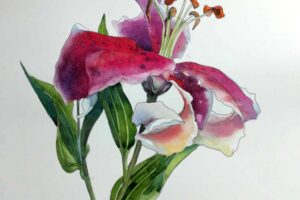 watercolor flower coloring