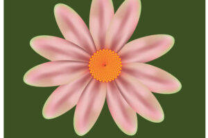 gradient mesh
