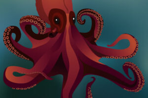 vector challenge