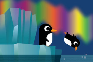 vector scene