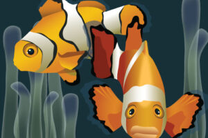 fish photo to vector