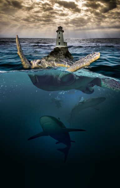 water submersion