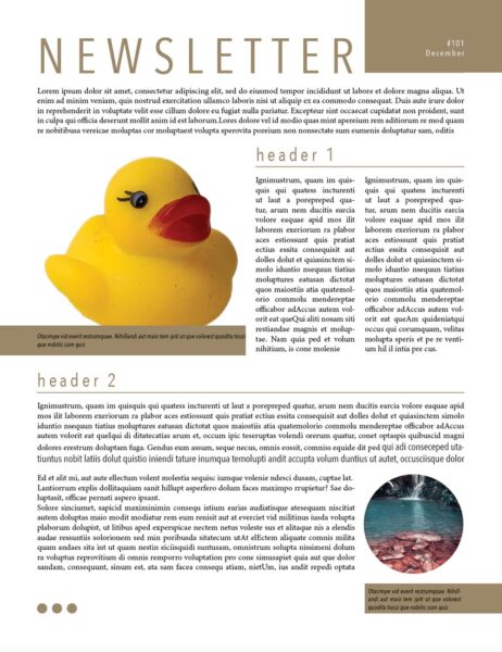 newsletter layout