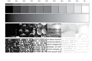 value scales