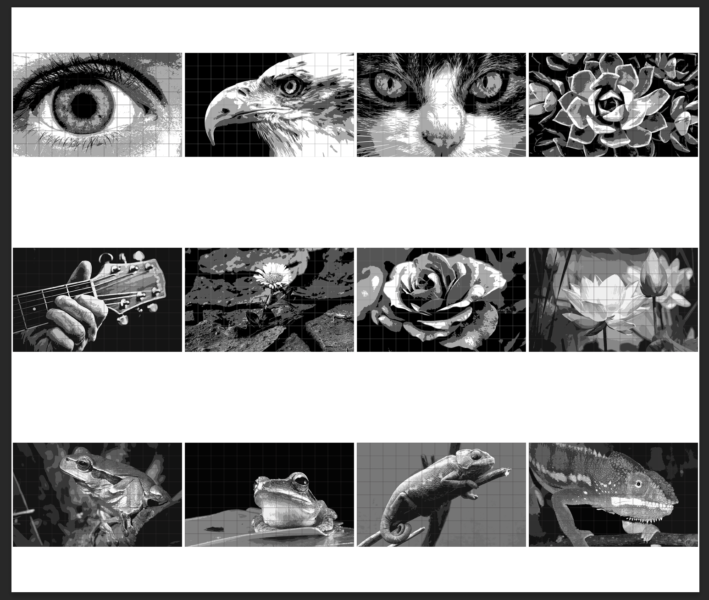 contact sheet in Photoshop