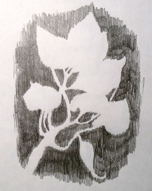 negative drawing