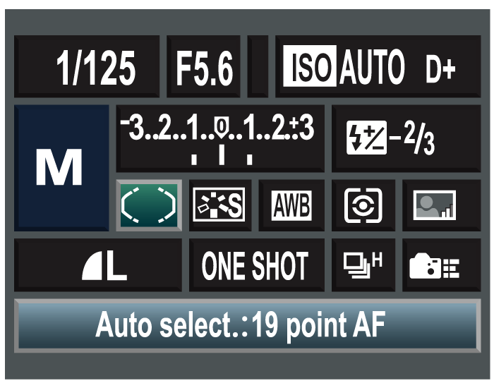 review camera settings