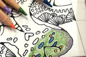 watercolor pencils