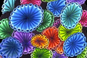 coloring tangles